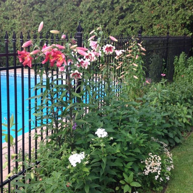 Team Broady Real Estate Montreal West Island